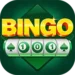Bingo 101